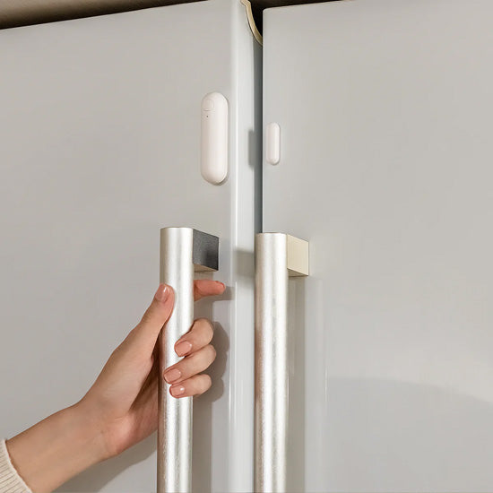 Sensor de Puerta y Ventana P2