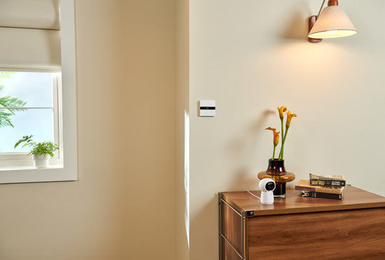 Interruptor de Pantalla V1 EU