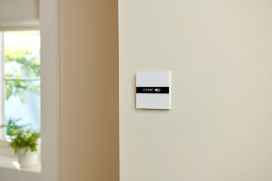 Interruptor de Pantalla V1 EU