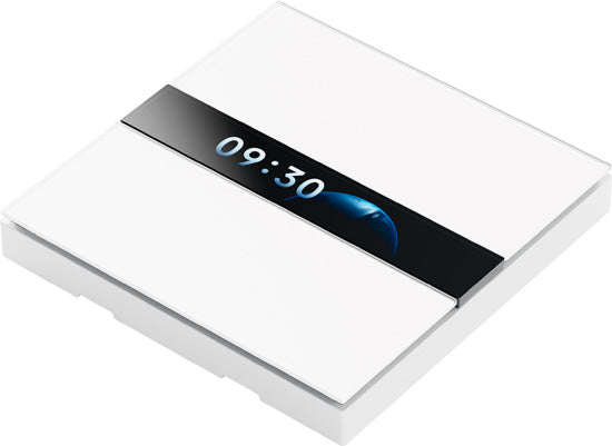 Interruptor de Pantalla V1 EU
