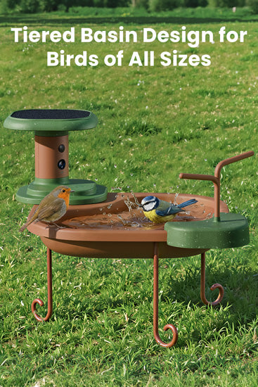Bebedero para aves Jolly V IA