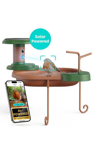 Bebedero para aves Jolly V IA