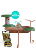 Bebedero para aves Jolly V IA