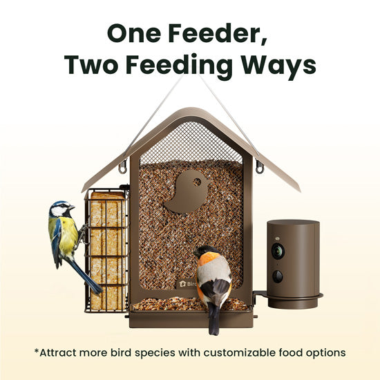 Comedero Metal V con IA y módulo solar