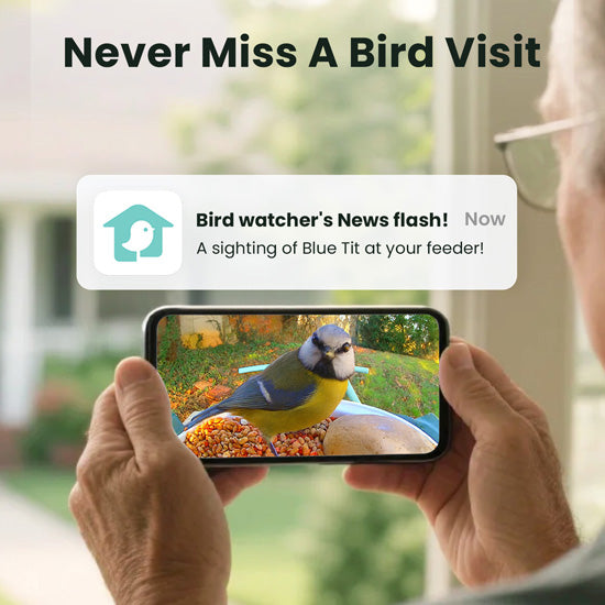 Comedero para pájaros con IA y panel solar