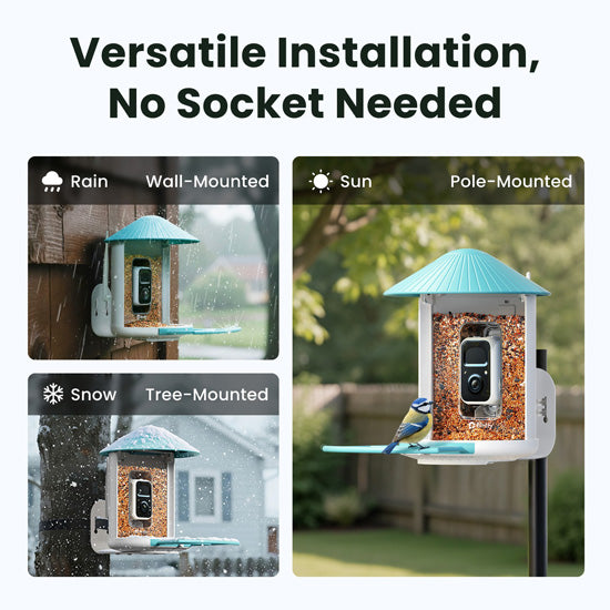 Comedero para pájaros con IA y panel solar