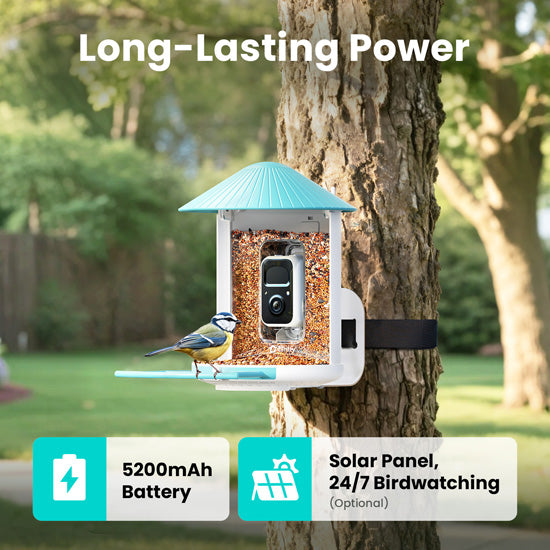 Comedero para pájaros con IA y panel solar