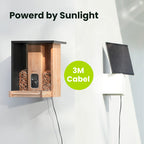Comedero Bamboo con IA gratis de por vida y energía solar