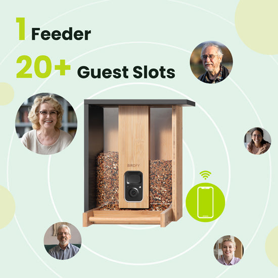 Comedero Bamboo con IA gratis de por vida y energía solar