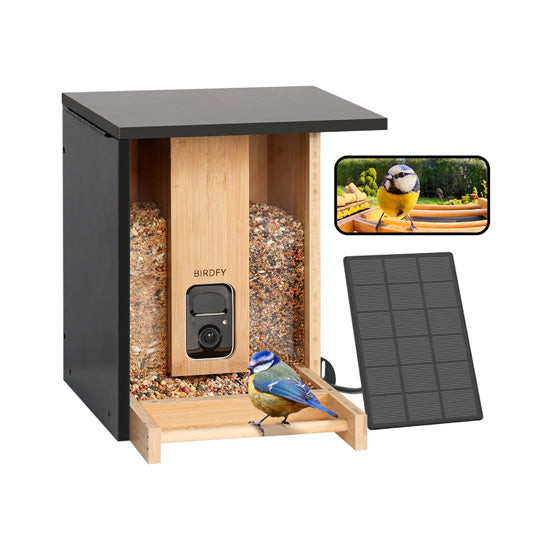 Comedero Bamboo con IA gratis de por vida y energía solar