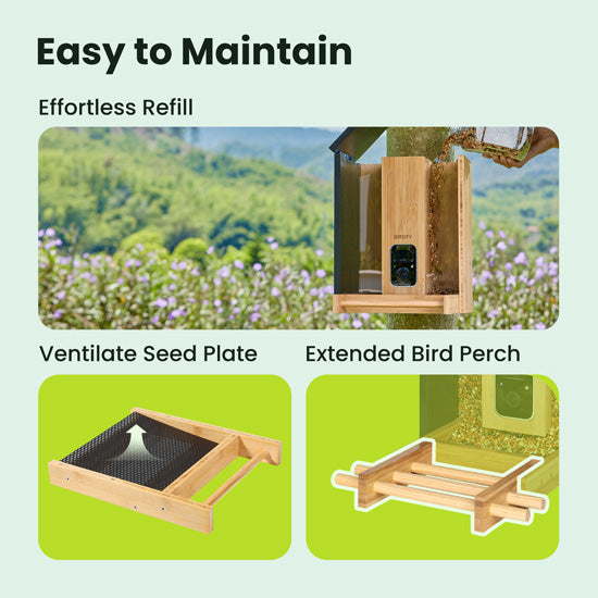 Comedero Bamboo con IA gratis de por vida y energía solar