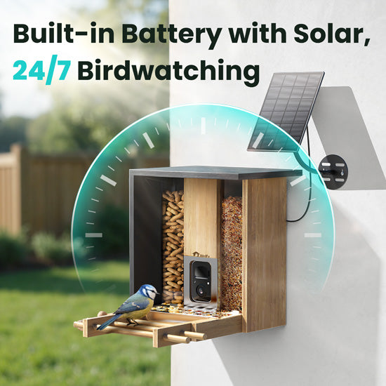 Comedero Bamboo con IA gratis de por vida y energía solar