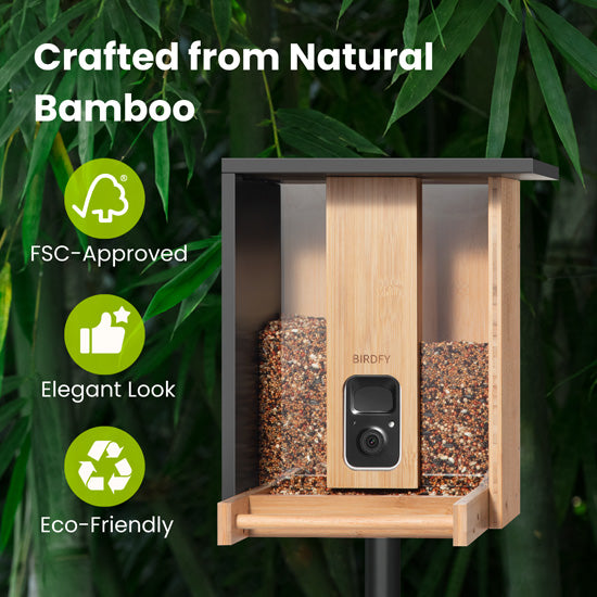 Comedero Bamboo con IA gratis de por vida y energía solar