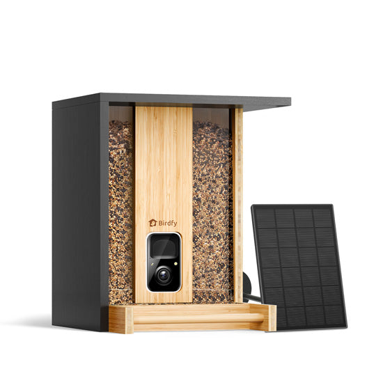 Comedero Bamboo con IA gratis de por vida y energía solar