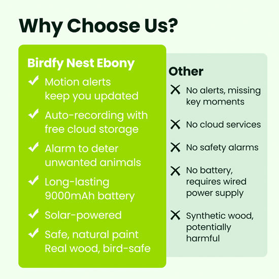Casa Ebony
