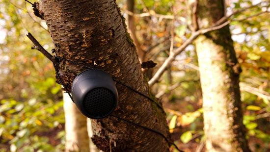 Altavoz Zero XL Black Atlantic