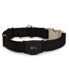 Soporte AirTag para collar de perro Negro