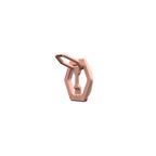 Soporte de Anillo Magnético Nude