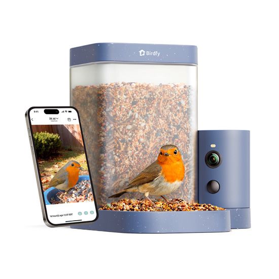 Feeder Rookie Lite - Birdfy