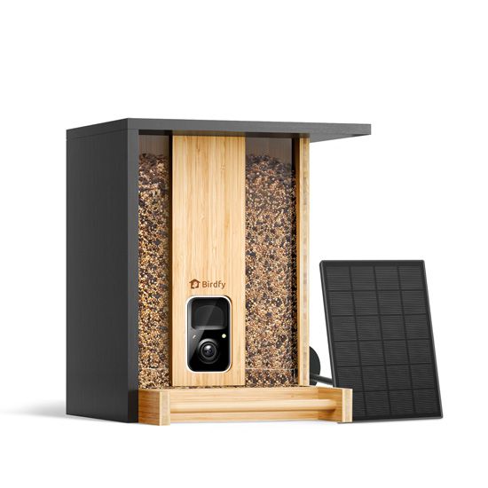 Feeder Bamboo AI gratis de por vida con energía solar - Birdfy