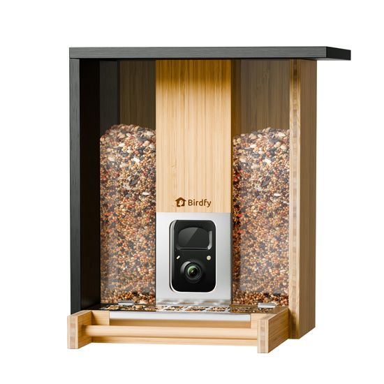 Feeder Bamboo AI por suscripción con energía solar - Birdfy